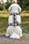 H Type Printed Adjustable Chest Harness and Travel Strap Set - 2