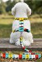 H Type Printed Adjustable Chest Harness and Travel Strap Set - 2