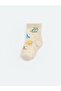 Dinosaur Embroidered Baby Boy Socks 5-Pack (W6) - 4