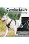 Dog Harness and Leash Set, Breathable and Selective Soft-Shell Padded Vest for Pets, Comfortable and Adjustable. - 6