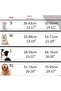 Dog Harness and Leash Set, Breathable and Selective Soft-Shell Padded Vest for Pets, Comfortable and Adjustable. - 2