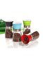 Glass Spice Salt Pepper Grinder Assortment