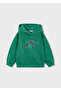 Boy's Hooded Sweat Acacia 4455 - 2