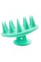 Pack of 1 Hair Scalp Massager Shampoo Brush