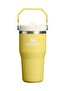 The iceflow flip straw 2.0 tumbler 0.59l colorful