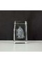 Crystal Ball Night Lamps | | Night Light | 3D Crystal Ball LED light with Hindu gods carvings. 80mm. Laxmi, Ganesh ,Hanuman and Krishna Radhe carvings. Decorative lights for home, office. (R - 2