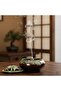 Generic Ceramic Incense Burner with Holder, Decorative Holder for Sticks & Cones and Tablets, Ash Catcher for Home Fragrance, Bakhoor, Meditation & Aromatherapy - 3