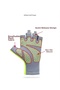 Premium Quality Anti-Sweat Half Finger Non-Padded Yoga Fitness Cycling Outdoor Sports Gloves - XL - 4