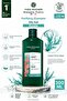 Purifying Shampoo for Oily Hair 300 ml - Organic Ocean Algli Sebum Balancing Detox