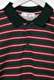 Green Boy's Polo Collar Striped Knitted T-Shirt Tkdaw27Ts00006 - 8