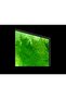 Neo QLED 65QN80H 65'' 165 Ekran Uydu Alıcılı 4K Vision AI Smart TV (2026) - 3