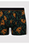 Tiger Printed Boxer 0910117-900 - 2