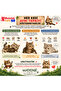 Matatabi Stick Small 3 Pack Natural Chew Sticks, Cat Toy 12 Cm - 6