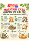 Matatabi Stick Small 3 Pack Natural Chew Sticks, Cat Toy 12 Cm - 8