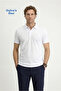 Polo Neck Regular Fit Embroidered Cotton T-Shirt