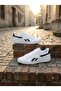 Prime Grounds White-Navy Blue Unisex Sneaker