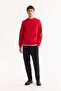 Men's Red Crew Neck Cotton Bi-Stretch Basic Regular Fit Sweatshirt A52Y1328 - 6