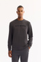 Men's Anthracite Crew Neck Soft Touch Printed Regular Fit Sweatshirt A52Y1334