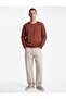 Cotton Long Sleeve Raised Crew Neck Men's Basic Sweatshirt