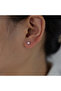 Light Yellow Gold Color 5-Pair Simple Zircon Flower Love Butterfly Earrings Weekly Gift Box for Wome - 2