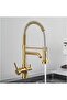 Kitchen Sink Faucet Dual Flow Water Purifier Gold Spiral Fountain Imported - 7