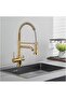 Kitchen Sink Faucet Dual Flow Water Purifier Gold Spiral Fountain Imported - 5