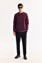 Men's Burgundy Crew Neck Cotton Bi-Stretch Printed Regular Fit Sweatshirt A52Y1325 - 6