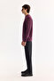Men's Burgundy Crew Neck Cotton Bi-Stretch Printed Regular Fit Sweatshirt A52Y1325 - 3