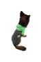 Big Breed Apple Dog Sweatshirt - Dog Suit - 4