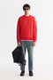 Men's Red Crew Neck Cotton Embossed Printed Regular Fit Sweatshirt B001033 - 5