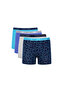 Boy's 4-Piece Boxer Set 2129-145484