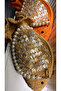 Designed Handmade Wicker Fish Clutch Bag Handbag (Wicker Color) - 4