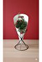 Premium Bouquet Carrying Paper Case – Flower Presentation Case with Handle – Luxury White Decorative Bouquet Cobalt in 100's - 4