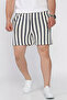 Waist-Tied Striped Patterned Men's Shorts