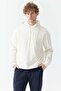 Men's Hooded Sweatshirt