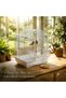 Premium White Decorative Bird Cage 30 x 26 x 39 cm with Arch Roof Play Ring Wooden Perch 2 External Feeders Removable Tray for Finches Canaries Budgies and Small Birds - 6