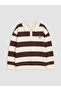 Lcw Kids Brown Polo Collar Striped Boys' Sweatshirt - 3