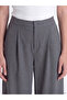 Alita City Lcw Modest Gray Loose Fit Women's Pleated Fabric Pants with a Difference - 4