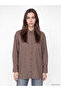 Lcw Modest Brown Striped Women's Shirt