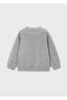 Gray Boy's Printed Sweatshirt 4454 - 3