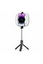 Rgb Lighted Selfie Stick Tripod 78.5 cm Bluetooth Controlled Phone Stand