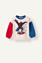 Sweat Shirt (26 Wn) - 5