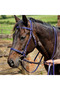 Genuine Leather Horse Bridle and Reins Set - Navy Blue