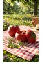 🍅   Tomato-Shaped Decorative Storage Container – Stylish and Fun Kitchen Accessory (1 Piece)