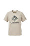 Csc Seasonal Graphic Tee
