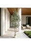 Indoor Tall Artificial Olive Tree 182cm, Double Trunk with Realistic Olive Fruits, White Pot and Artificial Moss, Easy Setup for Office, Hotel and Apartment Corner - 4