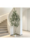 6FT 182cm Artificial Double‑Trunk Olive Tree, Faux Floor Potted Plant with Faux Olives, White Pot with Artificial Moss, Stable Cement Base for Living Room & Hallway Decor - 2
