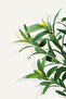 210CM Artificial Olive Tree with Lifelike Branches & Fruits for Home, Office & Outdoor Decor - 6