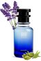 Oil-Based Perfume for Women & Men – Inspired by A Baalm Of Calmm – Alcohol Free, 10+ Hr Long-Lasting Aromatic Woody Scent with Notes of Sandalwood, Iris & Oak (30 ML)
