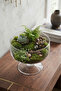 Selen Concept Noa Model Small Size Footed Handmade Glass Salad and Presentation Bowl - 4